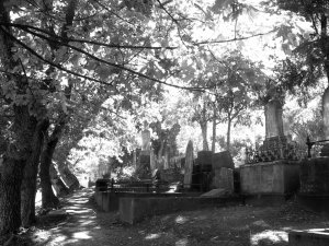 Napier Cemetery 1