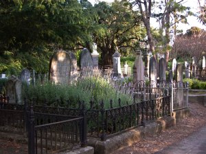 Napier Cemetery 4