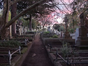 Napier Hill Cemetery 5
